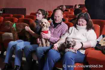 Hondencinema lokt 70-tal viervoeters en hun baasjes, en er werd zelfs hondenpopcorn voorzien