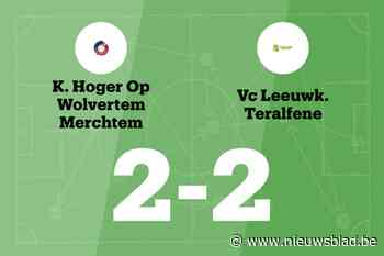 HO Wolvertem Merchtem en Leeuwkens Teralfene spelen 2-2
