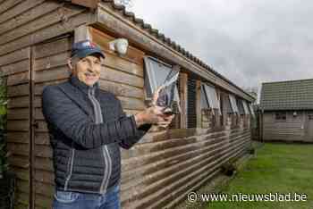 “Ik heb voor 10.000 euro aan beveiliging staan”: duivendiefstallen pieken, en het zwaartepunt ligt volgens kenner in ons land