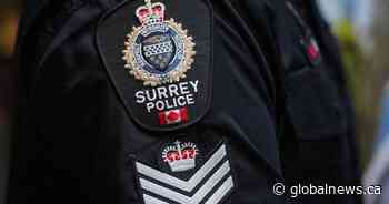 One driver dead at scene of multi-vehicle crash on Metro Vancouver bridge