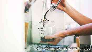 Gefährliches Wellnessritual: Können Kaffee-Einläufe Krankheiten heilen?