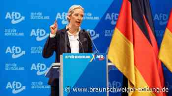 Großspender der AfD ist Aufsichtsrat in Thüringer Unternehmen