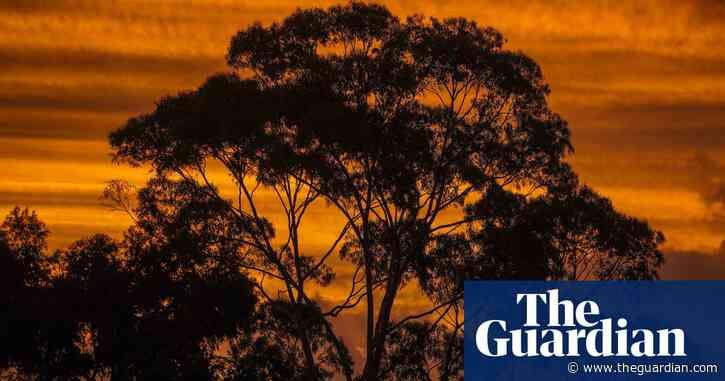 Rain causes power outage for tens of thousands of Perth homes as long weekend brings hot weather