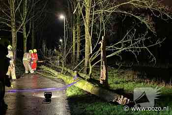 Boom valt over fietspad