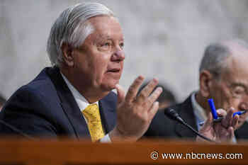 GOP Sen. Lindsey Graham: We talk about mass deportation but 'we don't have the resources'