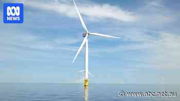 Developers abandon plans to build wind farm off WA coast