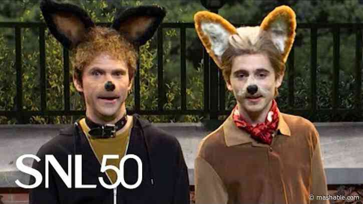 SNL: What if Timothée Chalamet was a dumb dog that did human things?