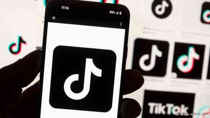 Perplexity AI bid for TikTok could give US government 50% stake