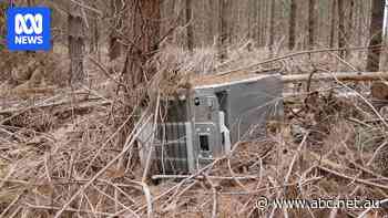 Lack of education blamed for rubbish being dumped in forests