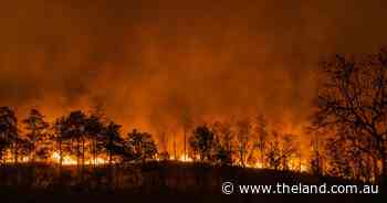 Timber for building houses to be extra protected by bushfire threats