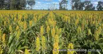 Prized farming country Wilgalee backed by impressive paddock performance