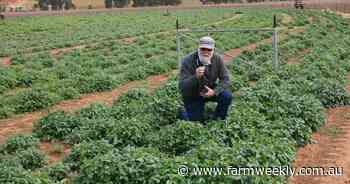 Ag scientist recognised after dedicating more than 40 years to the industry