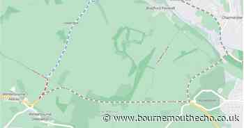 Road off of A35 to close for nearly two weeks