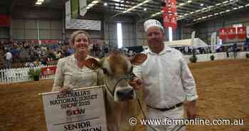 Udder lifts Riverlane cow to Jersey crown at International Dairy Week