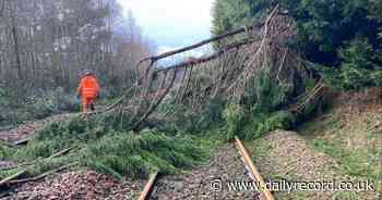 ScotRail resumes more services after Storm Eowyn caused 'significant damage'