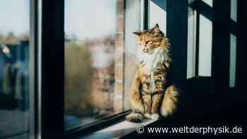 Warum ist Glas durchsichtig?