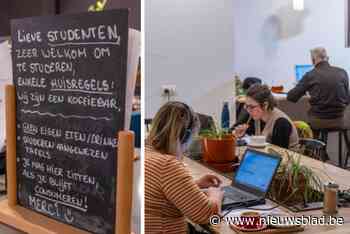 Koffiebars almaar creatiever in hun strijd tegen wifislurpers: “Studenten hebben een beetje dezelfde cyclus als muizen”