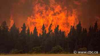 How vulnerable are Saskatchewan's 3 largest cities to wildfires?