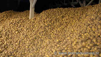 België en Frankrijk remmen de aardappelmarkt