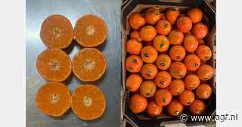 "Goede vraag naar Marokkaanse Nadorcott en tomaten vanuit het Verenigd Koninkrijk"