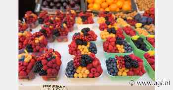 Groep Nederlandse toeleveranciers wil Turkse zachtfruitteelt naar hoger plan te tillen