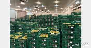 Omzetstijging van 22% voor Veiling Zaltbommel in 2024