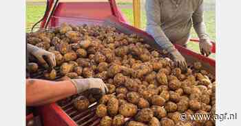 Franse aardappeloogst +12,2%