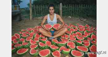 Turkse vrouw verbrijzelt record watermeloen