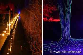 Kortemark blikt tevreden terug op eerste lichtjeswandeling in Krekemeersen: “Het was echt overweldigend”