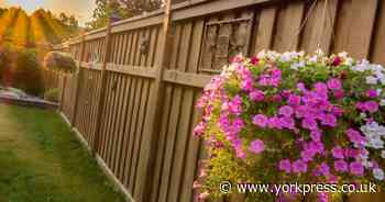 What garden fence am I legally responsible for in the UK?