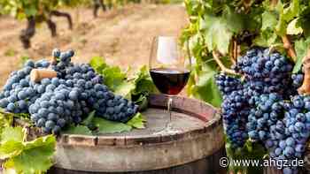 Weinbau: Winzer in Not