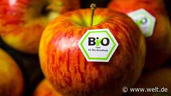 Der Bio-Boom ist zurück – doch davon profitieren nicht alle