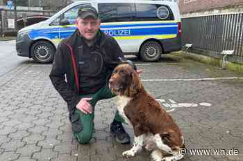 Hofhund alleine im Zug unterwegs: Bundespolizei rettet Asko