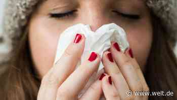 „Erstes positives Signal“ – Krankenstand in Deutschland sinkt leicht