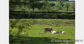 Ontdek de kracht van hagen en biodiversiteit in het BioAcademy Winter Webinar