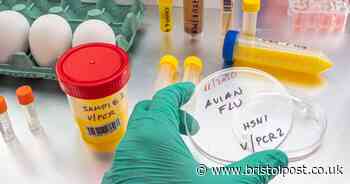 UK case of avian flu A(H5N1) in a person detected as 'don't touch' advice given