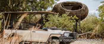 6 x bijzonder overnachten in Zimbabwe en Zambia