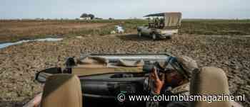 8 unieke activiteiten weg van de massa in Zimbabwe en Zambia