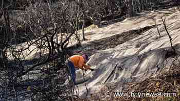 Rain in Southern California creates mudflows but helps firefighters