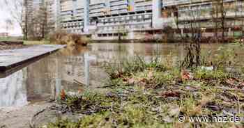 Hochwasserwarnung für Hannover: Pegel der Leine überschreitet zweite Meldestufe