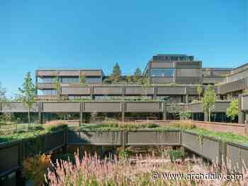 Plant Basingstoke Offices and Garden Restoration / Studio Knight Stokoe + Twelve Architects + Grant Associates + Feilden Clegg Bradley Studio