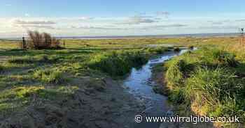 Wirral Council told it can’t clear three hectares of Hoylake beach