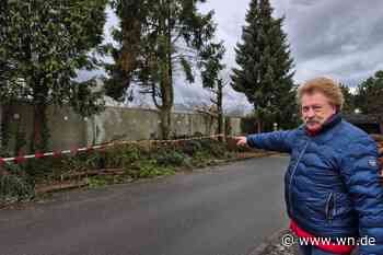 Angesägte Bäume beunruhigen Anwohner in Hiltrup