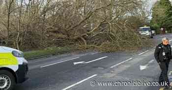 Hundreds of North East homes still without power after Storm Éowyn
