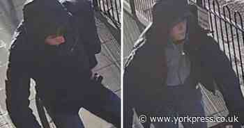 Thieves target York school