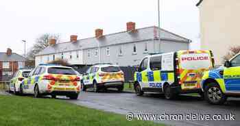 Armed police descend on Northumberland street as man arrested for allegedly carrying crossbow