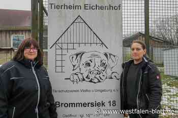 „Unser Ziel: alle Tiere zu vermitteln, aber nicht um jeden Preis“