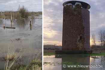 Wandelen langs Demer afgeraden door aanhoudende regen: “We willen vermijden dat men door de stijging van het water in moeilijkheden geraakt”