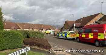 Man dies in Hertfordshire house fire