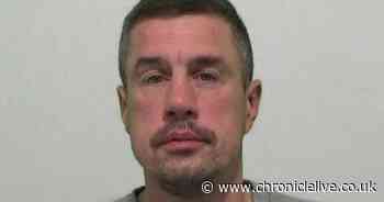 XL Bully owner jailed after man mauled to death in Sunderland